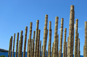 TTT MultiPole Uglie poles ready for installation.