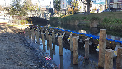 TTT Deep Pile Foundations being installed for a convention centre punt stop and river wall, Avon River, Christchurch.