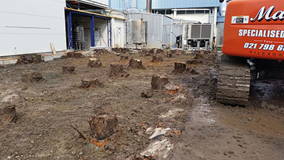 TTT Deep Pile Foundations being installed for a new commercial building.